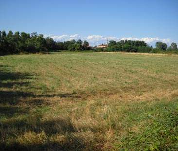 Consorzi di bonifica, spreco da 53 mln