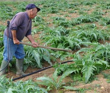 Stop ai corsi Iap, la Regione blocca gli agricoltori