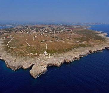 Tutela del mare, a Siracusa intesa tra Sea Shepherd e Amp