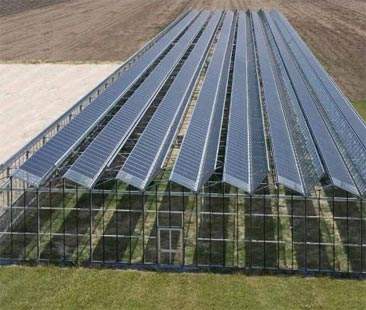 Grande parco fotovoltaico a Gela, coop Agroverde ci crede ancora