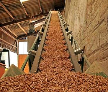 Biomasse: tante risorse sprecate