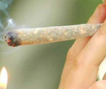 Cannabis, in Sicilia 1 giovane su 4 ne fa uso