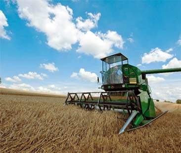 La Regione siciliana lumaca affossa l’agricoltura