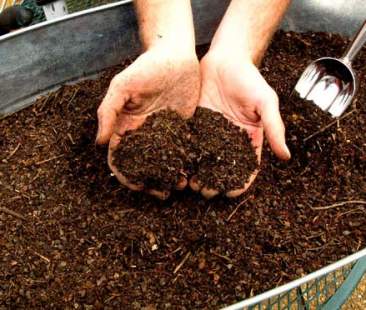 Rifiuti, da pionieri siciliani la mini-compostiera da città