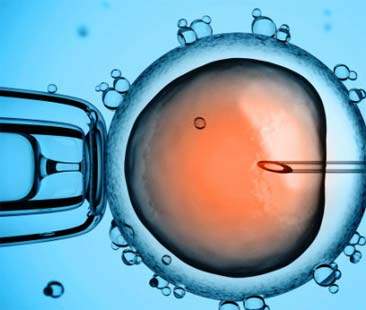 Eterologa, la Consulta fuga i dubbi: la sentenza si può applicare subito