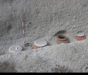 Ecomafie, tra cemento e animali in Sicilia sguazza il malaffare