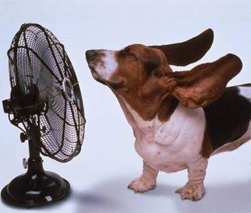 Istruzioni e consigli per l’uso per combattere l’arrivo del caldo