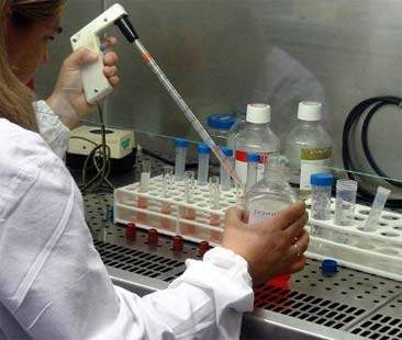 Stamina, ordinanza tribunale di Catania ordina le cure per due malati