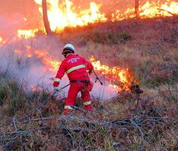 Gli incendi estivi non aspettano i tempi e gli annunci di Crocetta
