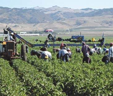 Occupazioni stagionali tengono a galla il mercato del lavoro