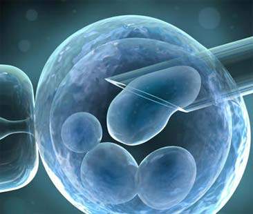 Beatrice Lorenzin: “Entro il 31 luglio nuove norme su eterologa”