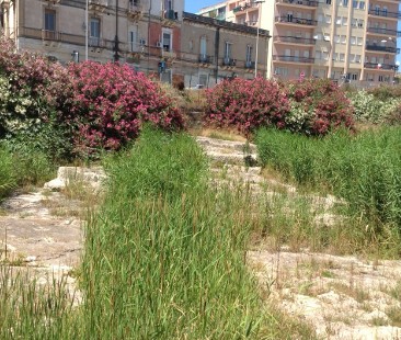 Siracusa – L’Arsenale greco sepolto dall’erba