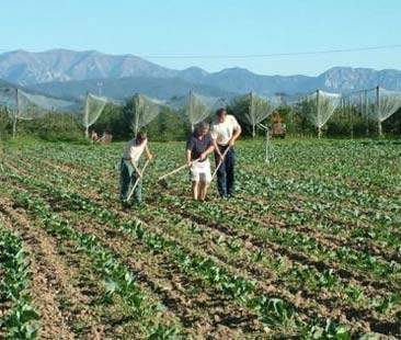La mafia investe sullo slow food e riscuote i fondi Ue La mafia investe sullo slow food e riscuote i fondi Ue