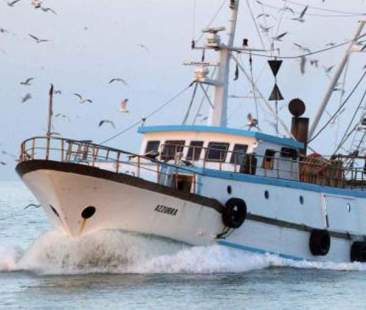 Pesca annegata nel clientelismo