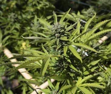 Riconteggio del Pil, i soldi sporchi non salveranno l’Italia dai sacrifici