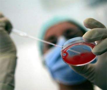 Legge 40 “smontata dal buon senso”. Eterologa, anche la Sicilia è pronta