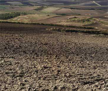 La Sicilia perde la terra e il Pil