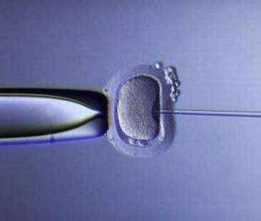 Eterologa al via in attesa di figurare tra i Lea