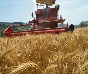 “Natura siciliana” una boccata d’ossigeno per le imprese agricole