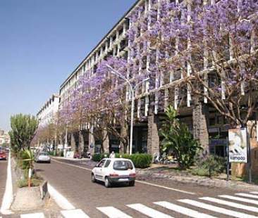 Catania – Ambulanti, mettetevi in regola. Controlli stringenti anti-abusivi