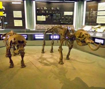 “Art Bonus”, quando conviene investire in cultura