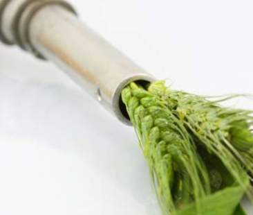 Bioenergie-biocarburanti, la Sicilia si muove