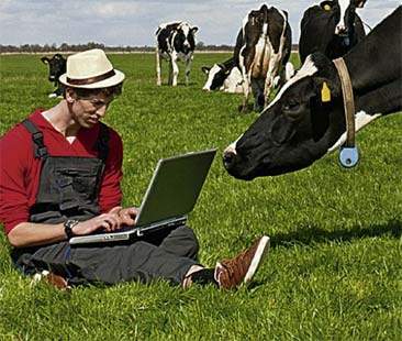 Contadini digitali, Sicilia disconnessa