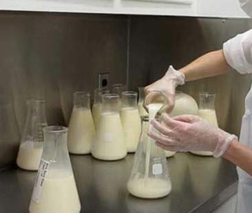 Acquisto online di latte materno. Alto rischio di contraffazioni