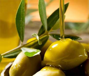 Olive: crollo della produzione e aumento dei prezzi