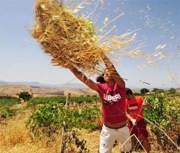 Beni confiscati, 5 mld sotto la polvere