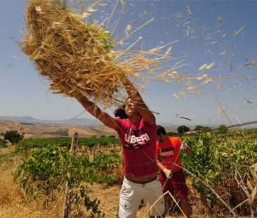 Palermo – Quei beni confiscati alla malavita tornati finalmente alla Comunità