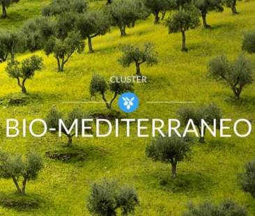 Cluster Biomediterraneo: l’avviso per partecipare scade a fine mese