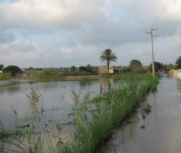 La Regione fa affondare gli agricoltori La Regione fa affondare gli agricoltori