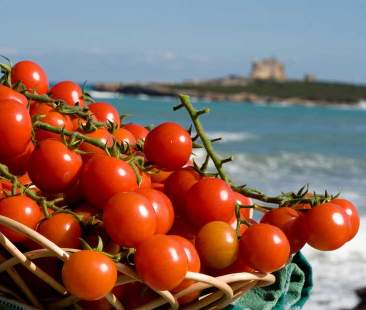 Made in, la Sicilia non sa cosa sia