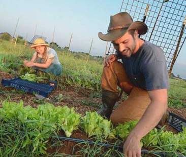 Agricoltura, boom assunzioni under 35 ma fa eccezione il Mezzogiorno