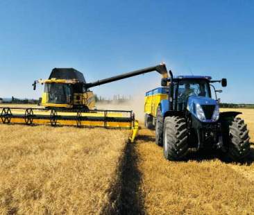 Messina – Truffa ai danni dell’Agea per circa 800 mila euro