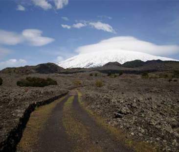 Catania – Parco dell’Etna, obiettivo turismo con un “biodistretto” alimentare