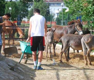 Fattorie sociali, occasioni di rilancio e sviluppo economico