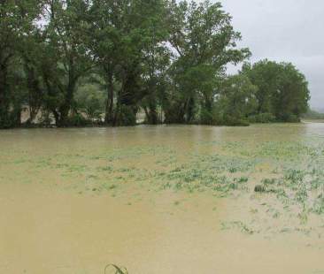 Campagne tra sprechi e allagamenti