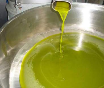 Olio d’oliva, 2014 annata nera e i prezzi salgono alle stelle
