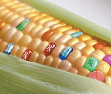 Un Piano nazionale anti Ogm per un’alimentazione più sana