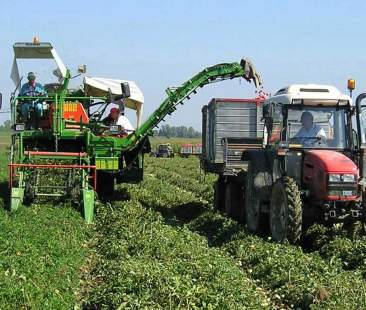 Campagne in nero, 876 mln nascosti