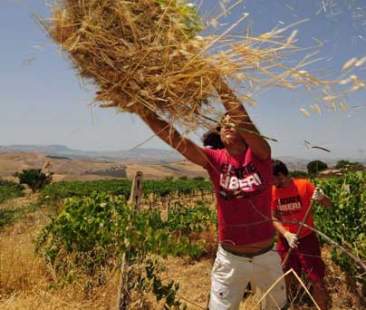 Consorzi di Comuni e beni confiscati