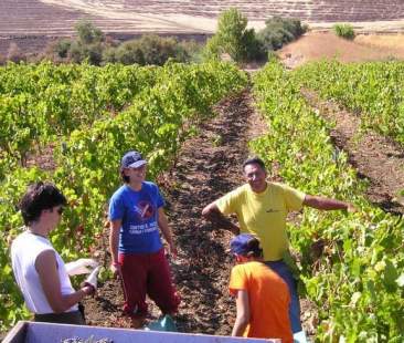 Un migliaio di beni confiscati alla mafia sono inutilizzati