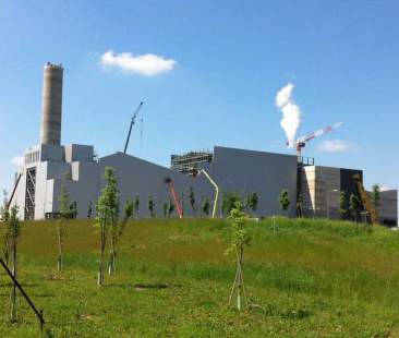 Le bugie dei falsi ambientalisti