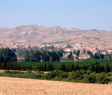 Catenanuova, tra aranci ed ulivi al confine tra Catania ed Enna Catenanuova, tra aranci ed ulivi al confine tra Catania ed Enna