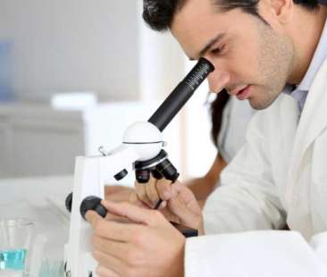 Motilità collettiva delle cellule tumorali