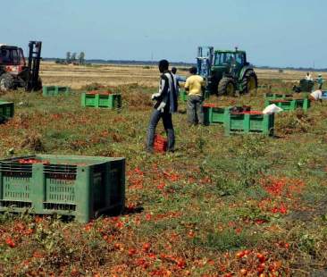 Agromafia, un cancro da 5 mld di euro