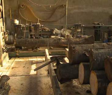 Regione non valorizza le fonti verdi