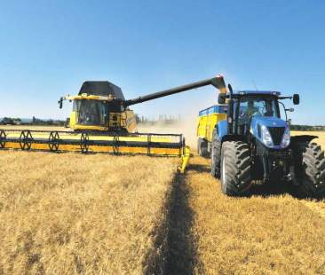 I Gal, cellule vive dell’agricoltura isolana